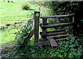 Stile in the southern corner of Catbrook Village Green