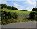 7-bar field gate near Catbrook