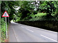 Road narrows warning sign, Narberth