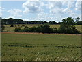 Crop field, Toddling Knowe