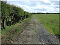 Gated road near Newham Hagg