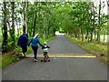 Avenue, Tannaghmore Gardens