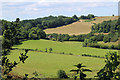 Westbury Farm near Montacute