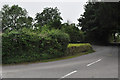 Cornwall : Country Lane