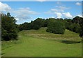 Templehill Wood, Bearsden