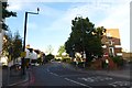 A quiet Sheen Lane