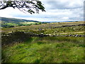 A pair of ladder stiles above Holme Chapel