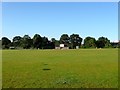 Cricket Pitch, Lindfield Common