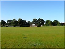 TQ3425 : Cricket Pitch, Lindfield Common by Simon Carey