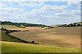 Farmland, Conholt, Wiltshire