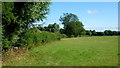 Pasture land north of Five Bridges