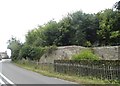 Old wall by the A283 entering Petworth