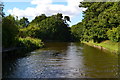 Canal and winding hole south of Chillington Bridge