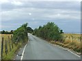 Raspberry Hill Lane, near Iwade