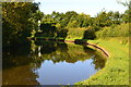 Morning sunlight on Staffordshire and Worcestershire Canal