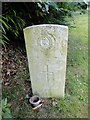 The headstone of Captain W.F. SMARTT