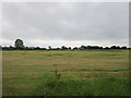 M9104 : Hay field, Lorrha by Jonathan Thacker