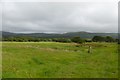 Farmland near Rhyd-goch