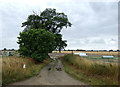 Byway towards Hill Harling