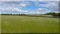 Grassland; South Worcestershire