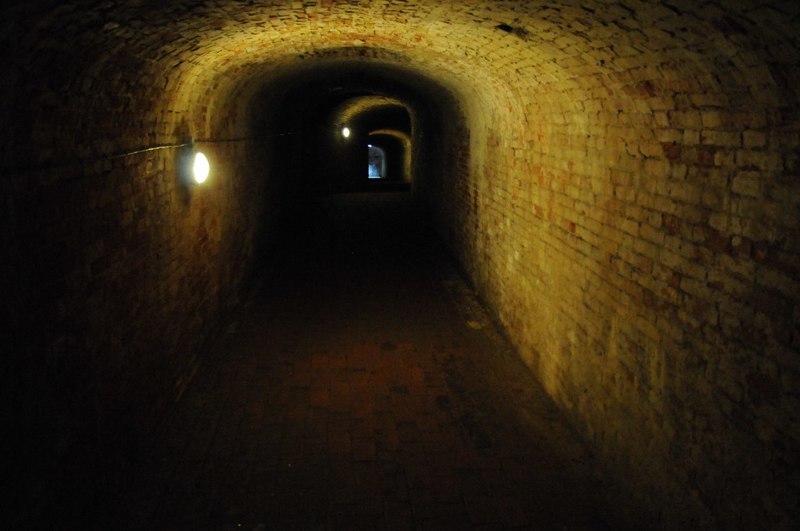 Tunnel at Calke Abbey © Philip Halling :: Geograph Britain and Ireland