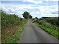 Minor road towards Ellingham