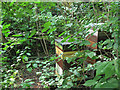 SE2535 : Hollybush Conservation Centre: beehives by Stephen Craven