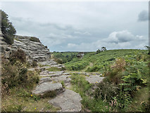SE8791 : Bridestones, Stain Dale Moor, Yorkshire by Christine Matthews