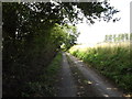 TM1269 : Deadman's Lane, Stoke Ash by Geographer