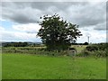 Double stile and ditch on path from Parsonage Cross