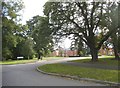 Beningfield Drive at the junction of Pegrum Drive