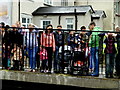 Spectators at the Duck Derby, Omagh