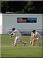SE3010 : At Darton Cricket Club by Neil Theasby