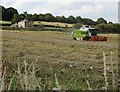 Harvest time at High Hoyland