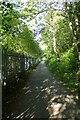 Cycle path along the railway