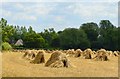 Corn stooks, Upper Chute, Wiltshire