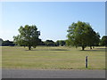 Grassy area with trees at Baker Barracks