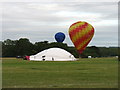 ST5674 : The 37th Bristol International Balloon Fiesta by David Purchase