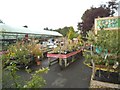 Garden Centre View