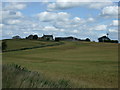 Fields towards Beukley