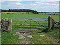 Field entrance near White House Farm