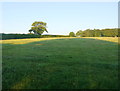 Fields at Barn Park Farm