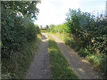 SE2907 : Track Near Barnby Green Farm by Peter Wood