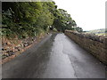 Greystones Road - viewed from Danny Lane