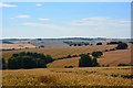 Wheat fields, Baydon, Wiltshire