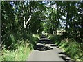 NZ0267 : Minor road heading north west beside Black Plantation by JThomas