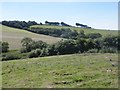 Hillside above Porte Farm