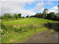 Drumcahy Townland