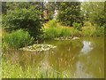 Fishing Pond, Pickmere