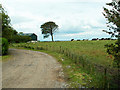 Farm track at Redkirk